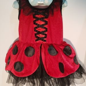 Ladybug Costume